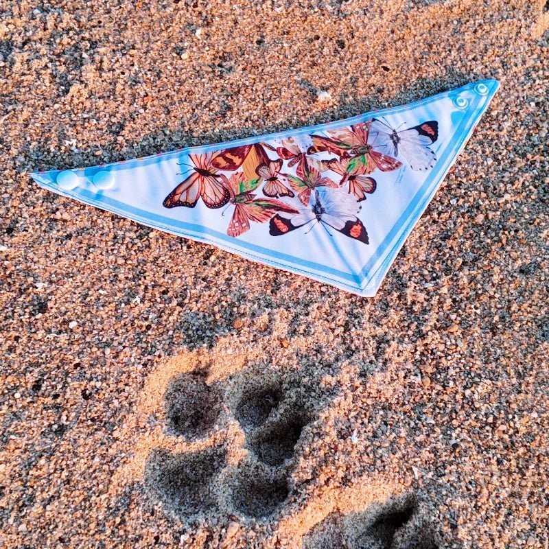 Bandanas ilustradas para perros y gatos - TINTAmar