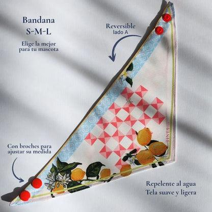 Bandana Damas para mascotas - TINTAmarBandana Damas para mascotasTINTAmarTINTAmarXSBandana Damas para mascotas