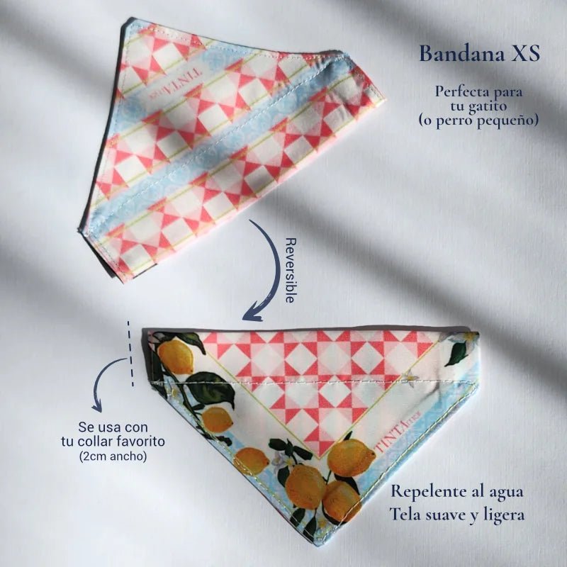 Bandana Damas para mascotas - TINTAmarBandana Damas para mascotasTINTAmarTINTAmarXSBandana Damas para mascotas