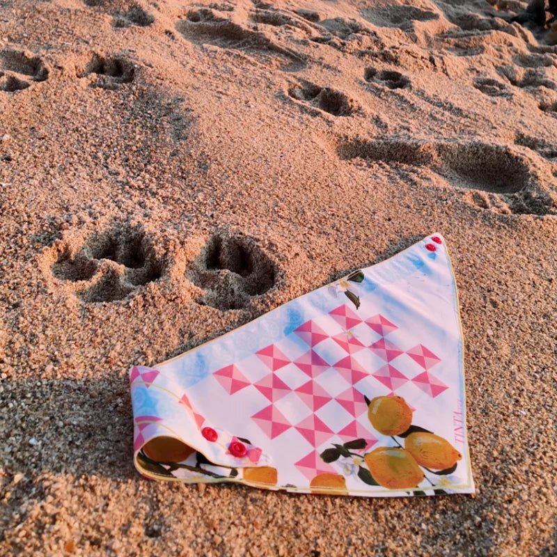 Bandana Damas para mascotas - TINTAmarBandana Damas para mascotasTINTAmarTINTAmarXSBandana Damas para mascotas