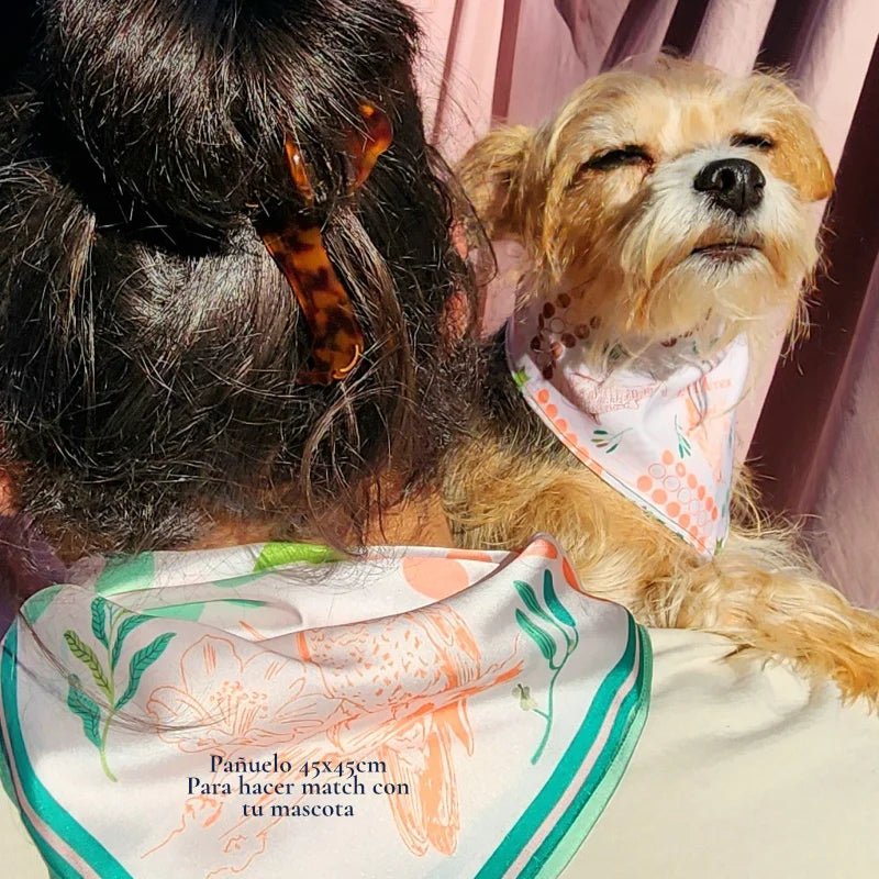 Bandana Ludo para mascotas - TINTAmarBandana Ludo para mascotasBandanaTINTAmarTINTAmarXSBandana Ludo para mascotas