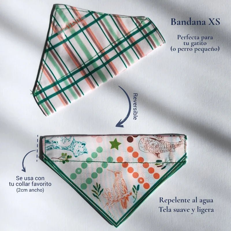 Bandana Ludo para mascotas - TINTAmarBandana Ludo para mascotasBandanaTINTAmarTINTAmarXSBandana Ludo para mascotas