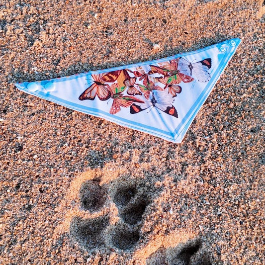 Bandana Mariposas Chilenas para mascotas - TINTAmarBandana Mariposas Chilenas para mascotasTINTAmarTINTAmarXSBandana Mariposas Chilenas para mascotas