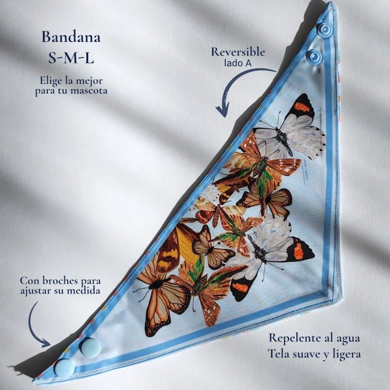 Bandana Mariposas Chilenas para mascotas - TINTAmarBandana Mariposas Chilenas para mascotasTINTAmarTINTAmarXSBandana Mariposas Chilenas para mascotas