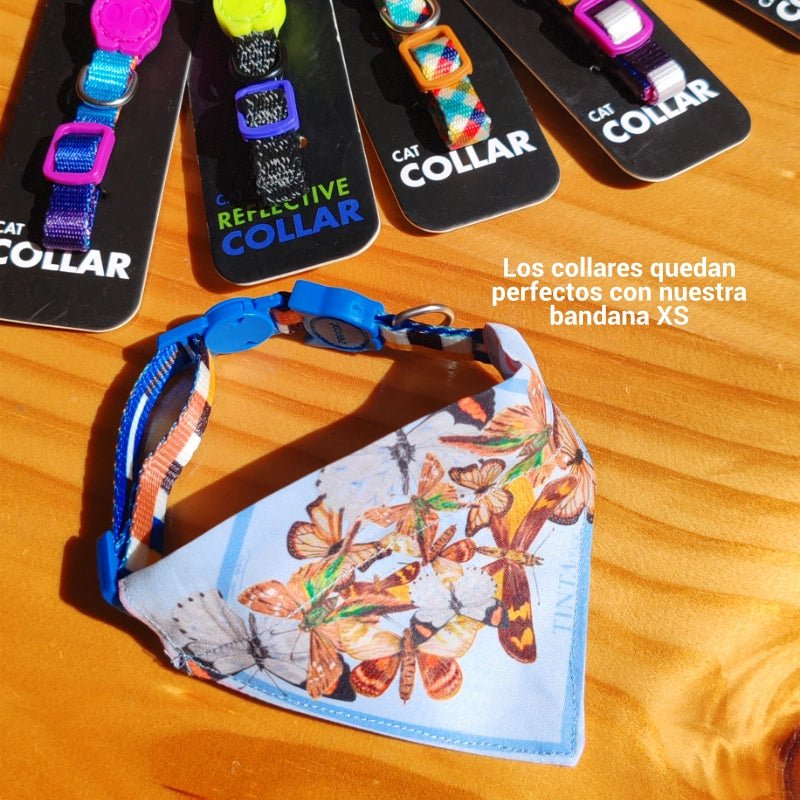 Collar para gato ajustable Zee.Cat - TINTAmarCollar para gato ajustable Zee.CatCollarTINTAmarTINTAmarAzulCollar para gato ajustable Zee.Cat